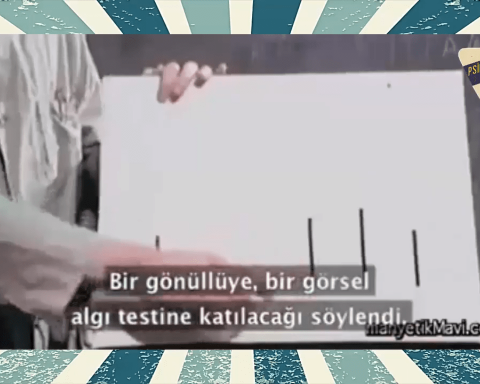 Asch Sosyal Uyum Deneyi