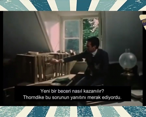 Etki Yasası Deneyi