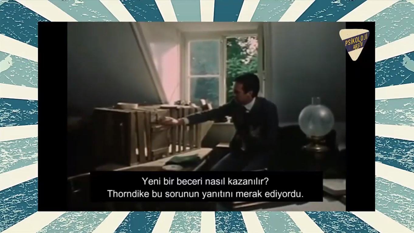 Etki Yasası Deneyi