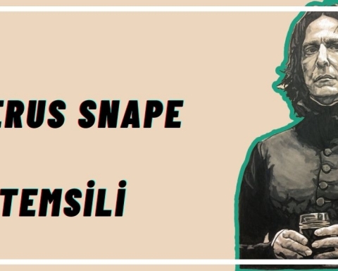 Harry Potter Psikolojik İncelemesi