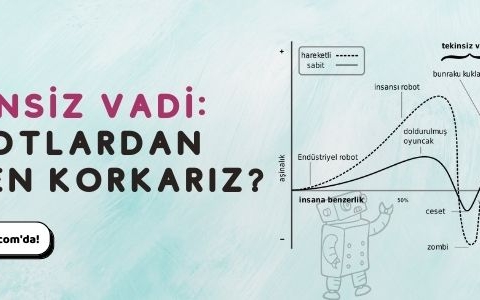 Tekinsiz Vadi nedir