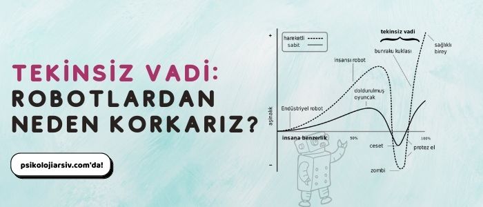 Tekinsiz Vadi nedir