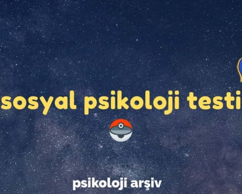 Sosyal Psikoloji Testi