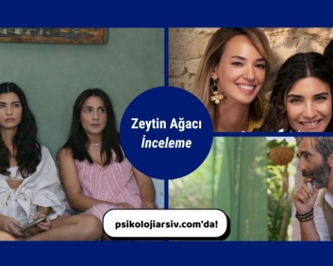 Zeytin Ağacı dizisi inceleme