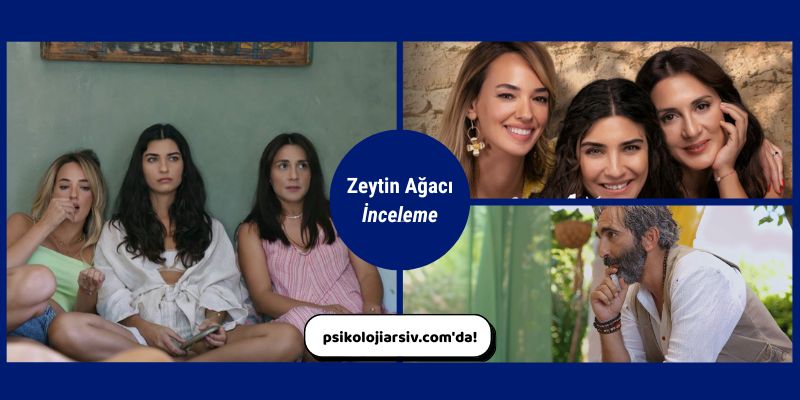 Zeytin Ağacı dizisi inceleme