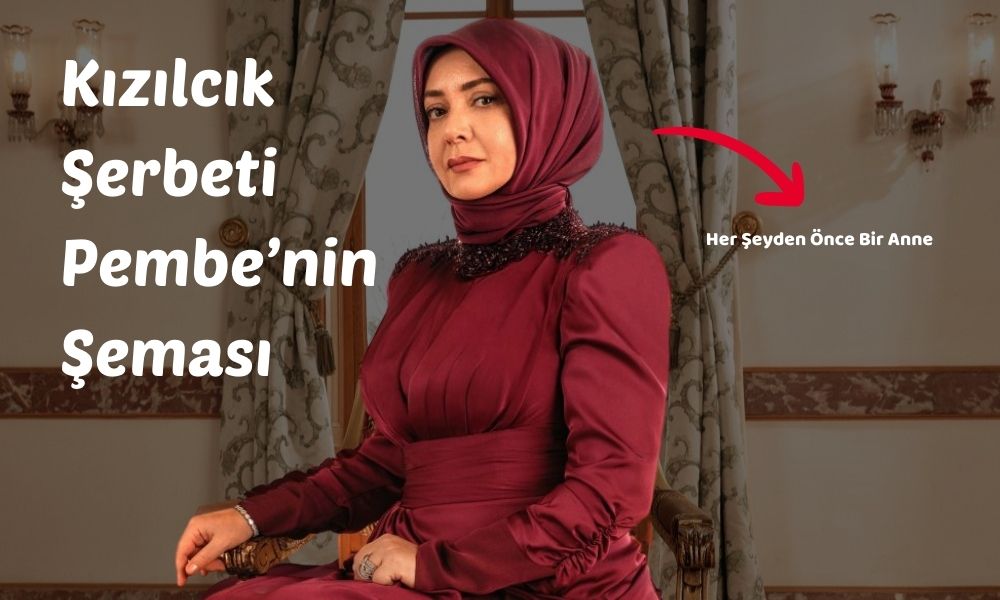 Kızılcık Şerbeti Kıvılcım Pembe'nin incelemesi