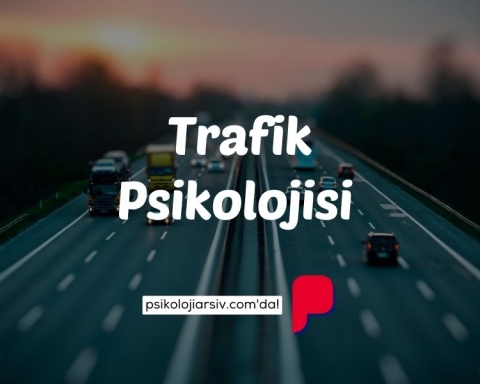 Trafik Psikolojisi