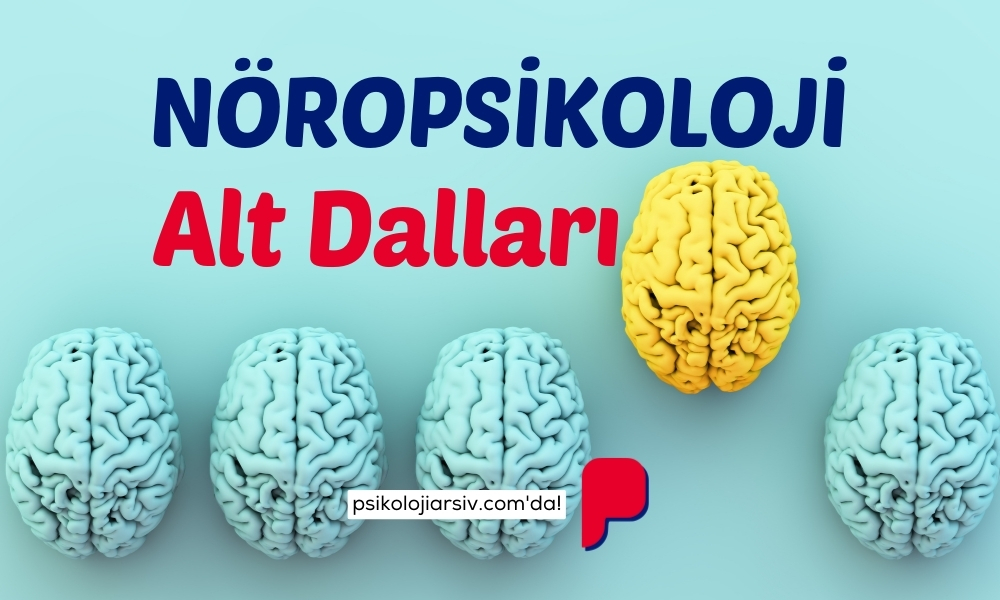 Nöropsikoloji Alt Alanları