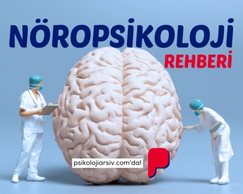 Nöropsikoloji Rehberi