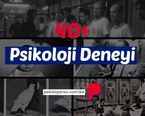 psikolojik deneyler